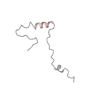 26035_7toq_AS30_v1-2
Mammalian 80S ribosome bound with the ALS/FTD-associated dipeptide repeat protein poly-PR