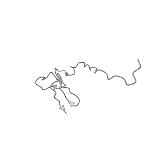 26035_7toq_AS31_v1-1
Mammalian 80S ribosome bound with the ALS/FTD-associated dipeptide repeat protein poly-PR