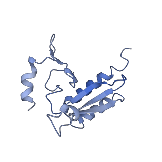 26035_7toq_EL28_v1-1
Mammalian 80S ribosome bound with the ALS/FTD-associated dipeptide repeat protein poly-PR