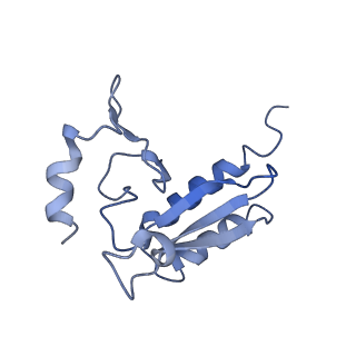 26035_7toq_EL28_v1-2
Mammalian 80S ribosome bound with the ALS/FTD-associated dipeptide repeat protein poly-PR