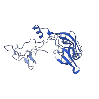 26036_7tor_AL02_v1-1
Mammalian 80S ribosome bound with the ALS/FTD-associated dipeptide repeat protein GR20