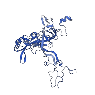 26036_7tor_AL03_v1-1
Mammalian 80S ribosome bound with the ALS/FTD-associated dipeptide repeat protein GR20