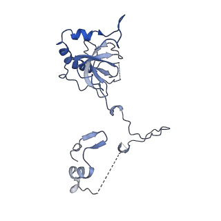 26036_7tor_AL06_v1-1
Mammalian 80S ribosome bound with the ALS/FTD-associated dipeptide repeat protein GR20