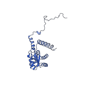26036_7tor_AL08_v1-1
Mammalian 80S ribosome bound with the ALS/FTD-associated dipeptide repeat protein GR20