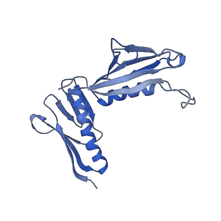 26036_7tor_AL09_v1-1
Mammalian 80S ribosome bound with the ALS/FTD-associated dipeptide repeat protein GR20