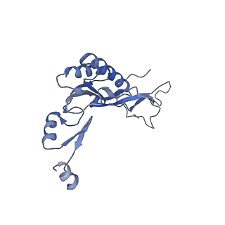 26036_7tor_AL10_v1-1
Mammalian 80S ribosome bound with the ALS/FTD-associated dipeptide repeat protein GR20