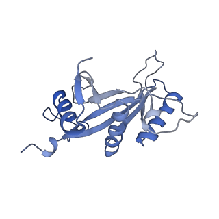 26036_7tor_AL11_v1-1
Mammalian 80S ribosome bound with the ALS/FTD-associated dipeptide repeat protein GR20