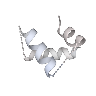 26036_7tor_AL12_v1-1
Mammalian 80S ribosome bound with the ALS/FTD-associated dipeptide repeat protein GR20