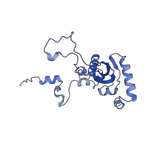 26036_7tor_AL15_v1-1
Mammalian 80S ribosome bound with the ALS/FTD-associated dipeptide repeat protein GR20