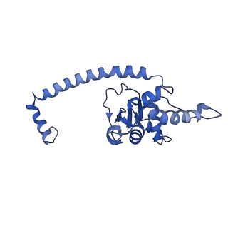 26036_7tor_AL16_v1-1
Mammalian 80S ribosome bound with the ALS/FTD-associated dipeptide repeat protein GR20