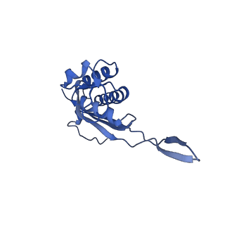26036_7tor_AL17_v1-1
Mammalian 80S ribosome bound with the ALS/FTD-associated dipeptide repeat protein GR20