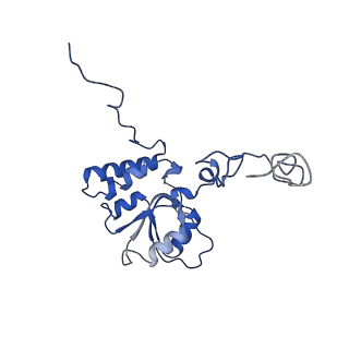 26036_7tor_AL18_v1-1
Mammalian 80S ribosome bound with the ALS/FTD-associated dipeptide repeat protein GR20