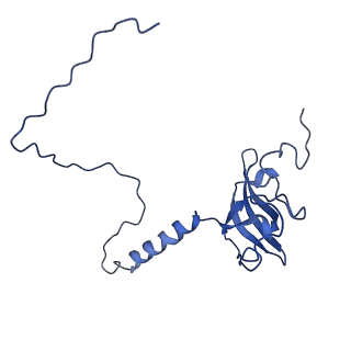 26036_7tor_AL21_v1-1
Mammalian 80S ribosome bound with the ALS/FTD-associated dipeptide repeat protein GR20