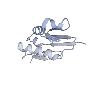 26036_7tor_AL22_v1-1
Mammalian 80S ribosome bound with the ALS/FTD-associated dipeptide repeat protein GR20