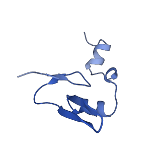 26036_7tor_AL24_v1-1
Mammalian 80S ribosome bound with the ALS/FTD-associated dipeptide repeat protein GR20