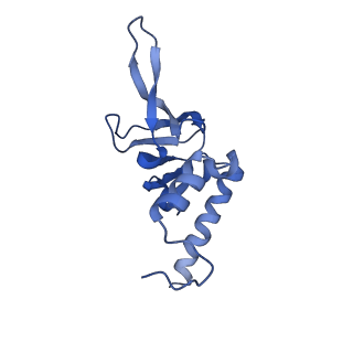 26036_7tor_AL26_v1-1
Mammalian 80S ribosome bound with the ALS/FTD-associated dipeptide repeat protein GR20