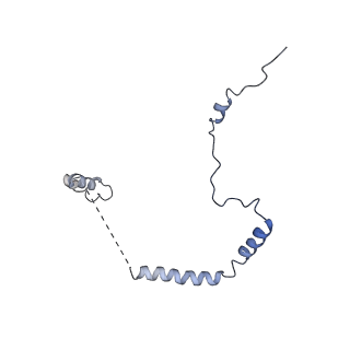26036_7tor_AL29_v1-1
Mammalian 80S ribosome bound with the ALS/FTD-associated dipeptide repeat protein GR20