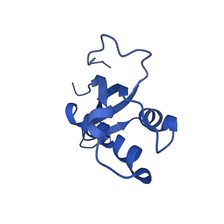 26036_7tor_AL31_v1-1
Mammalian 80S ribosome bound with the ALS/FTD-associated dipeptide repeat protein GR20