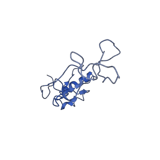 26036_7tor_AL32_v1-1
Mammalian 80S ribosome bound with the ALS/FTD-associated dipeptide repeat protein GR20