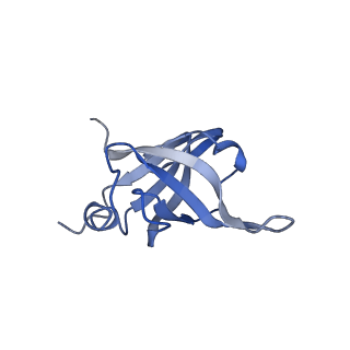 26036_7tor_AL33_v1-1
Mammalian 80S ribosome bound with the ALS/FTD-associated dipeptide repeat protein GR20