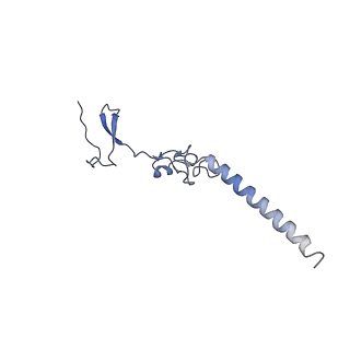 26036_7tor_AL34_v1-1
Mammalian 80S ribosome bound with the ALS/FTD-associated dipeptide repeat protein GR20