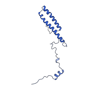 26036_7tor_AL35_v1-1
Mammalian 80S ribosome bound with the ALS/FTD-associated dipeptide repeat protein GR20