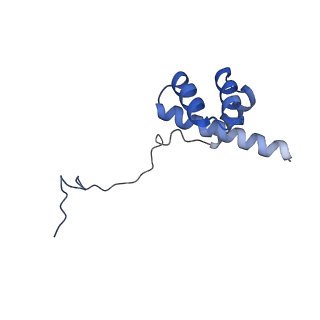 26036_7tor_AL36_v1-1
Mammalian 80S ribosome bound with the ALS/FTD-associated dipeptide repeat protein GR20