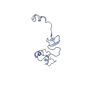 26036_7tor_AL37_v1-1
Mammalian 80S ribosome bound with the ALS/FTD-associated dipeptide repeat protein GR20