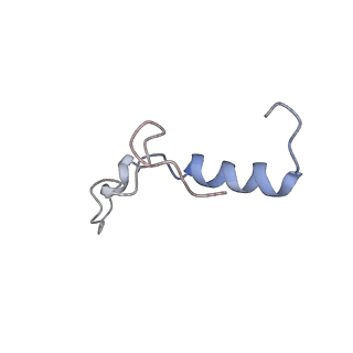 26036_7tor_AL39_v1-1
Mammalian 80S ribosome bound with the ALS/FTD-associated dipeptide repeat protein GR20