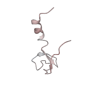 26036_7tor_AL40_v1-1
Mammalian 80S ribosome bound with the ALS/FTD-associated dipeptide repeat protein GR20