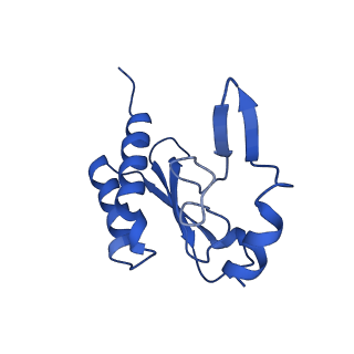 26036_7tor_ALNW_v1-1
Mammalian 80S ribosome bound with the ALS/FTD-associated dipeptide repeat protein GR20