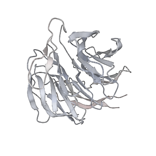 26036_7tor_ARAC_v1-1
Mammalian 80S ribosome bound with the ALS/FTD-associated dipeptide repeat protein GR20