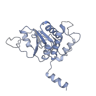 26036_7tor_AS00_v1-1
Mammalian 80S ribosome bound with the ALS/FTD-associated dipeptide repeat protein GR20