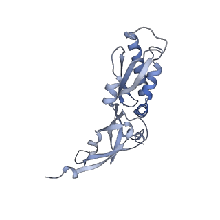 26036_7tor_AS01_v1-1
Mammalian 80S ribosome bound with the ALS/FTD-associated dipeptide repeat protein GR20