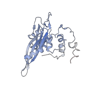 26036_7tor_AS02_v1-1
Mammalian 80S ribosome bound with the ALS/FTD-associated dipeptide repeat protein GR20