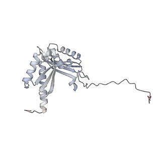 26036_7tor_AS03_v1-1
Mammalian 80S ribosome bound with the ALS/FTD-associated dipeptide repeat protein GR20