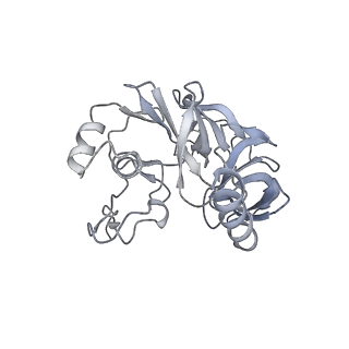26036_7tor_AS04_v1-1
Mammalian 80S ribosome bound with the ALS/FTD-associated dipeptide repeat protein GR20