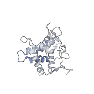 26036_7tor_AS05_v1-1
Mammalian 80S ribosome bound with the ALS/FTD-associated dipeptide repeat protein GR20