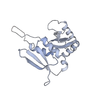 26036_7tor_AS07_v1-1
Mammalian 80S ribosome bound with the ALS/FTD-associated dipeptide repeat protein GR20