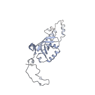 26036_7tor_AS08_v1-1
Mammalian 80S ribosome bound with the ALS/FTD-associated dipeptide repeat protein GR20