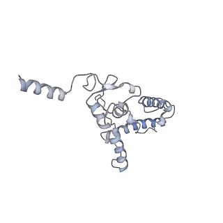 26036_7tor_AS09_v1-1
Mammalian 80S ribosome bound with the ALS/FTD-associated dipeptide repeat protein GR20
