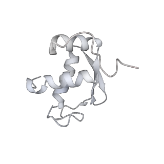 26036_7tor_AS10_v1-1
Mammalian 80S ribosome bound with the ALS/FTD-associated dipeptide repeat protein GR20