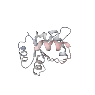 26036_7tor_AS12_v1-1
Mammalian 80S ribosome bound with the ALS/FTD-associated dipeptide repeat protein GR20