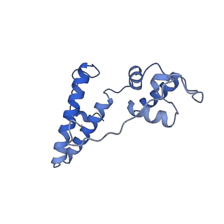 26036_7tor_AS13_v1-1
Mammalian 80S ribosome bound with the ALS/FTD-associated dipeptide repeat protein GR20
