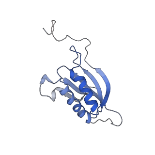26036_7tor_AS14_v1-1
Mammalian 80S ribosome bound with the ALS/FTD-associated dipeptide repeat protein GR20