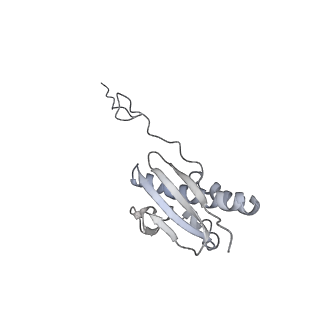 26036_7tor_AS16_v1-1
Mammalian 80S ribosome bound with the ALS/FTD-associated dipeptide repeat protein GR20