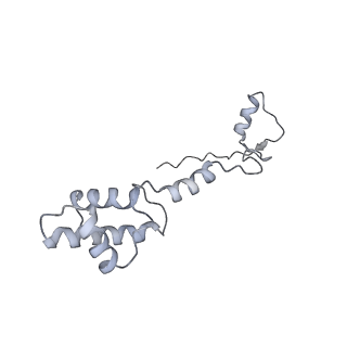 26036_7tor_AS17_v1-1
Mammalian 80S ribosome bound with the ALS/FTD-associated dipeptide repeat protein GR20