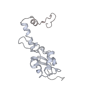 26036_7tor_AS18_v1-1
Mammalian 80S ribosome bound with the ALS/FTD-associated dipeptide repeat protein GR20