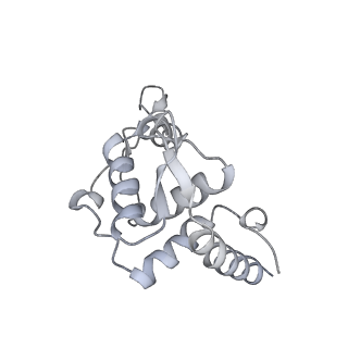 26036_7tor_AS19_v1-1
Mammalian 80S ribosome bound with the ALS/FTD-associated dipeptide repeat protein GR20