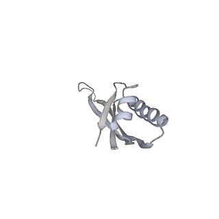 26036_7tor_AS20_v1-1
Mammalian 80S ribosome bound with the ALS/FTD-associated dipeptide repeat protein GR20